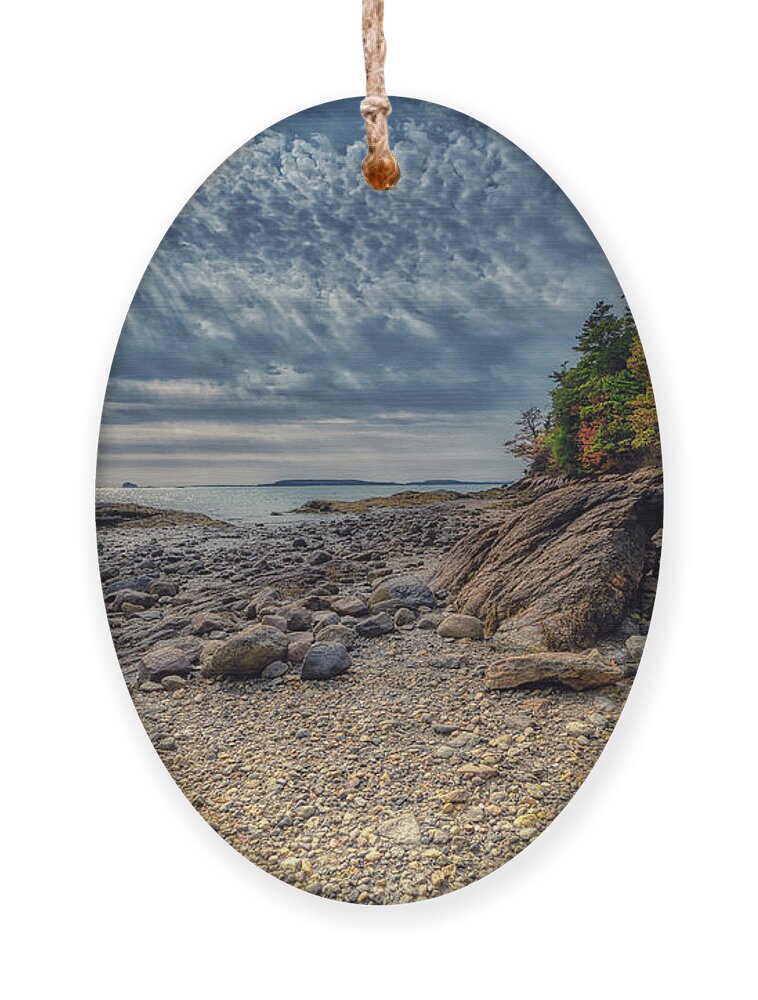 Freeport Maine Ornament featuring the photograph Wolfe Neck Woods by Penny Polakoff
