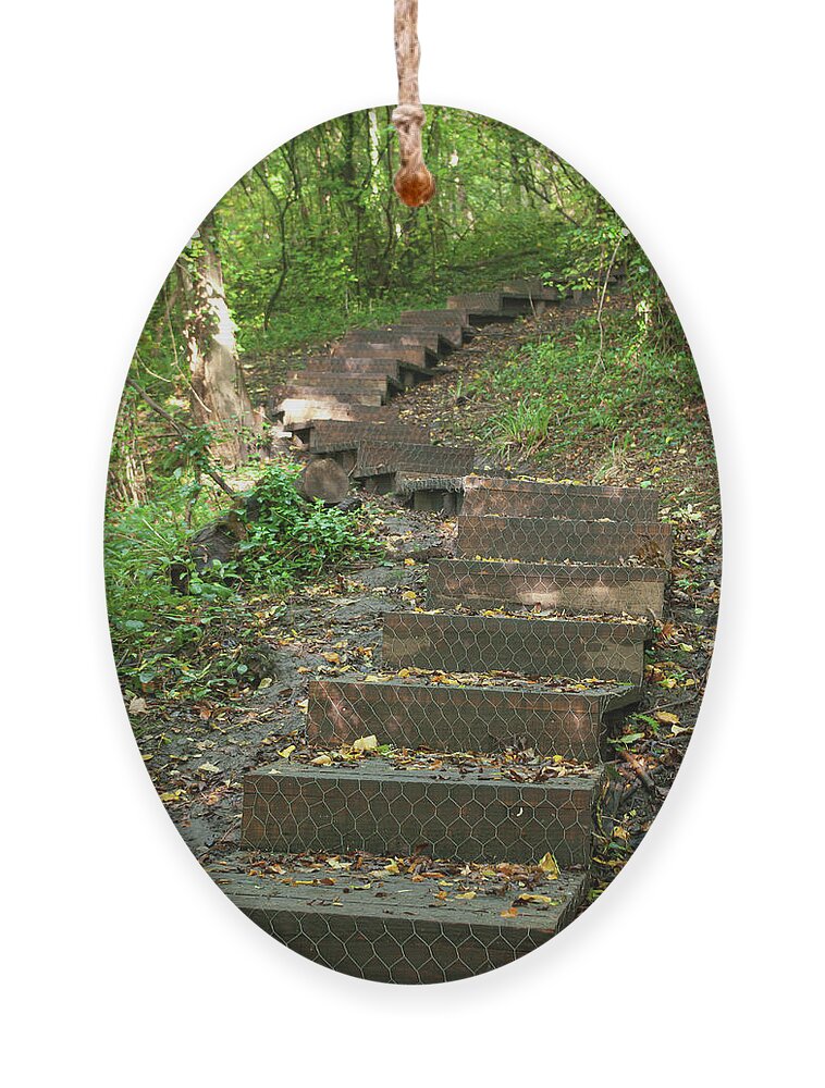 Wood Ornament featuring the photograph Wooden steps in the woods by Average Images