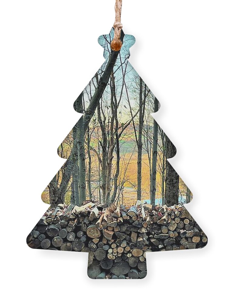 Fall Ornament featuring the photograph Woods In Change of Season by John Anderson