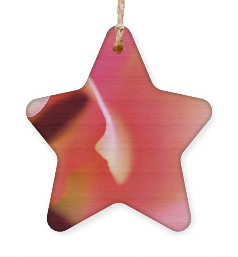 Pink Ornament featuring the photograph Wrapped in Pink by Bentley Davis
