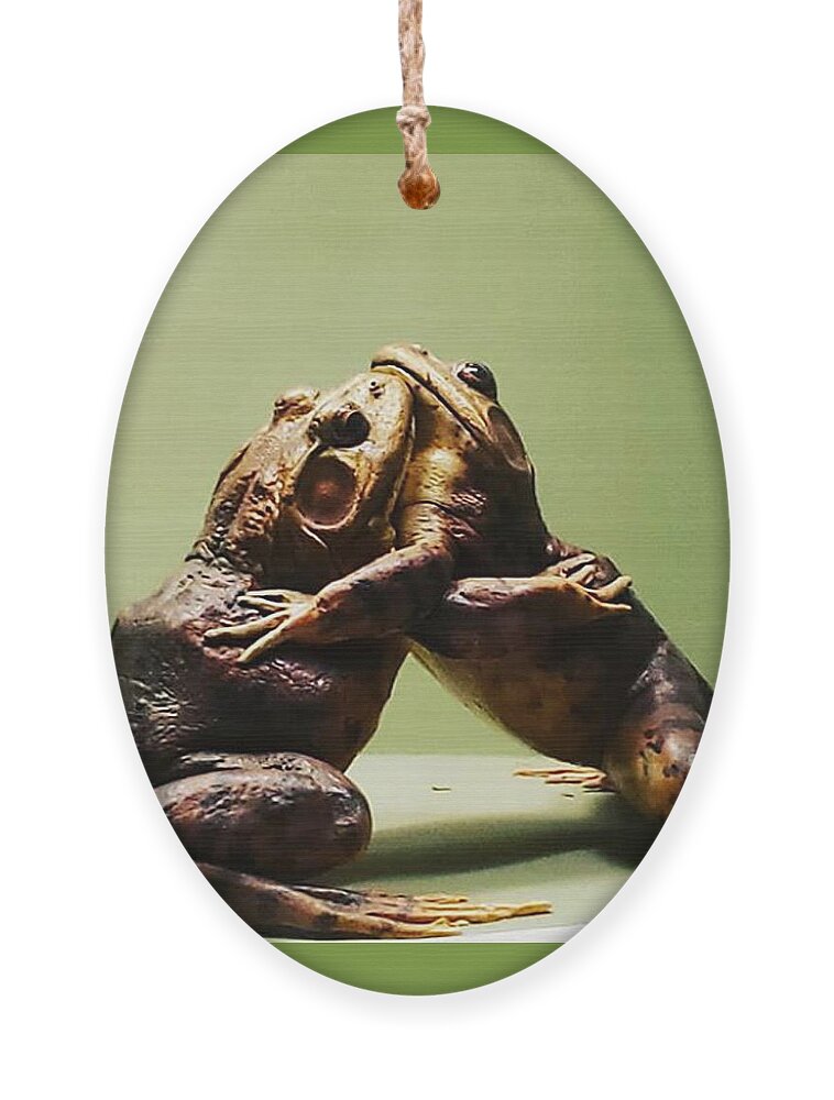 Hug Ornament featuring the photograph Wrestling Hugging Frogs by Vicki Noble