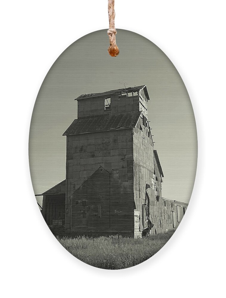 Grain Elevator Ornament featuring the photograph Newell Grain Elevator by Cathy Anderson