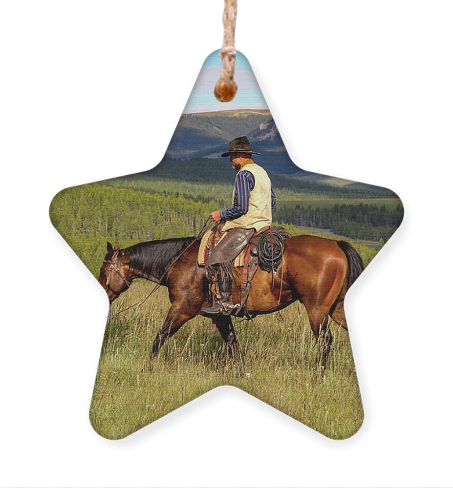 Wyoming Landscape Ornament featuring the photograph Wyoming Summer by Diane Bohna