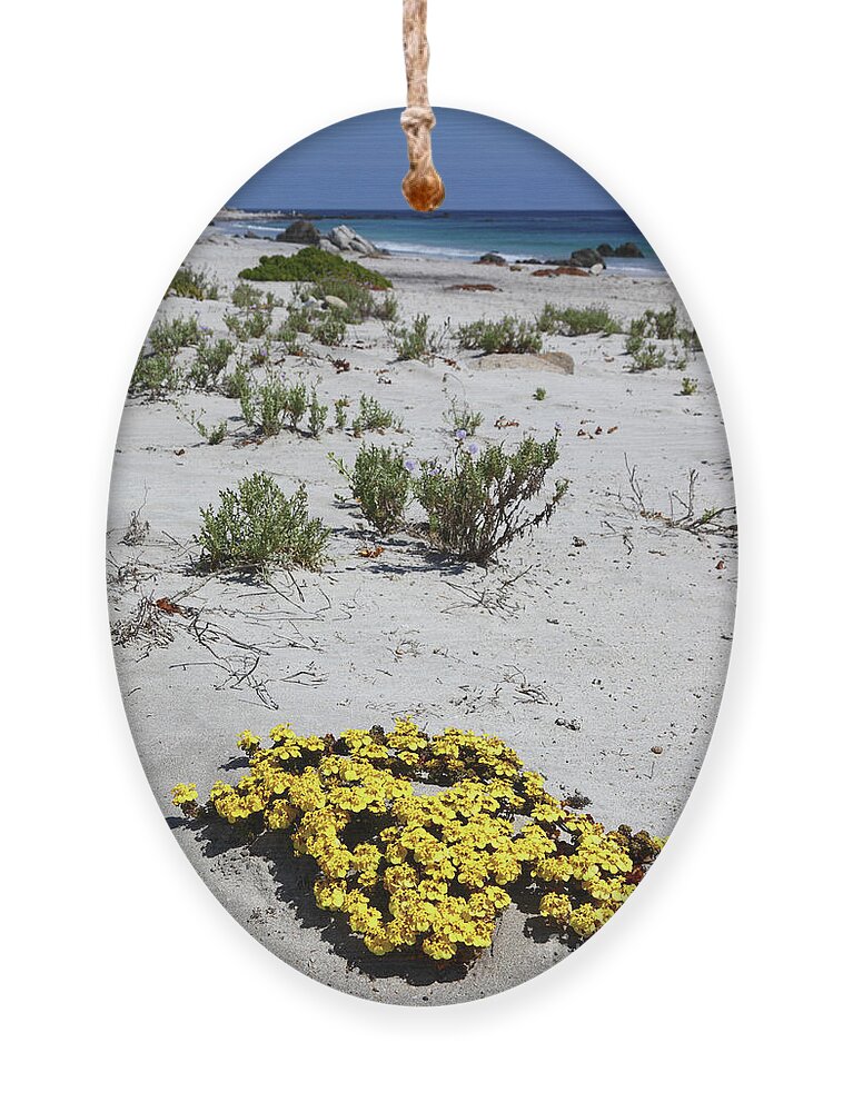 Chile Ornament featuring the photograph Yellow flowers on the beach Chile by James Brunker
