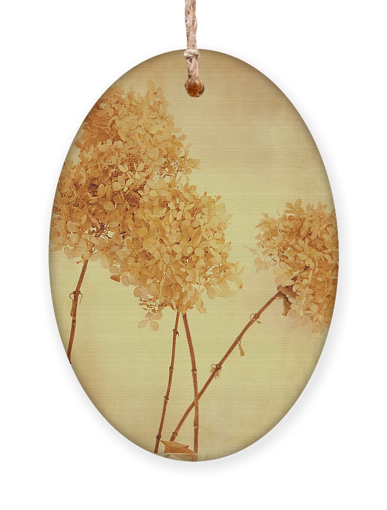 Flower Ornament featuring the photograph Yellow mood by Yasmina Baggili