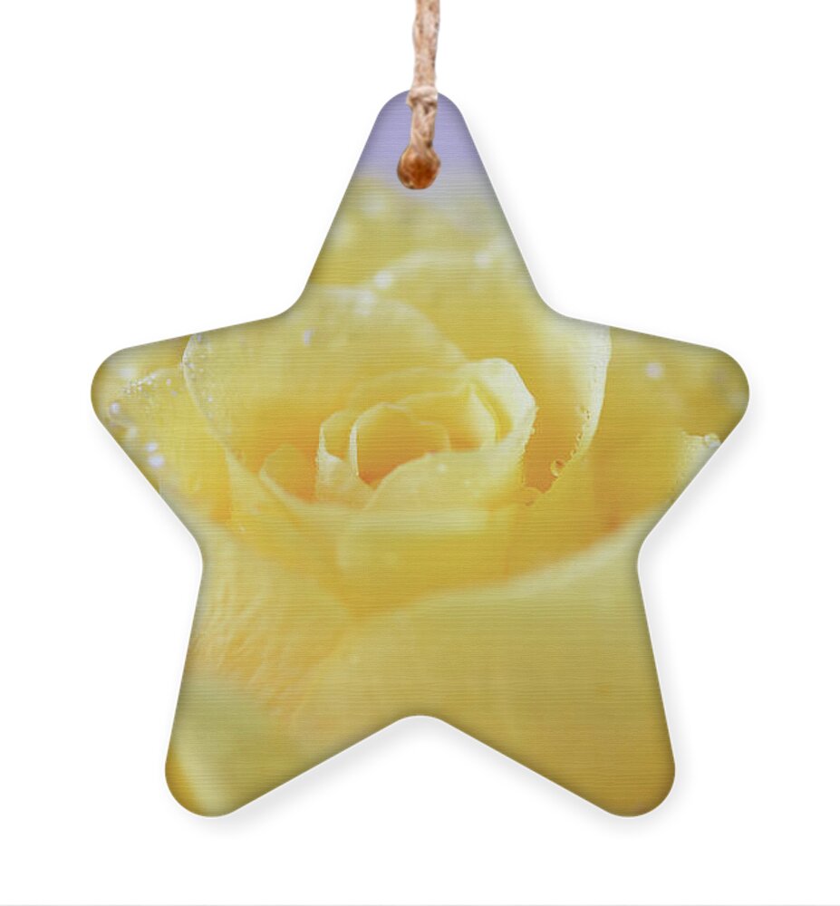 Rose Ornament featuring the photograph Yellow Tea Rose with Water Droplets by Yvonne Johnstone