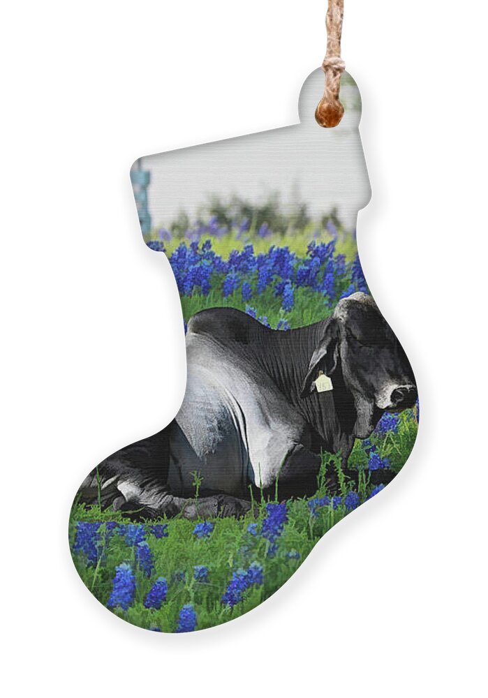 Zebu Ornament featuring the photograph Zebu Bull Relaxing in Blue Bonnet Field by Diana Mary Sharpton