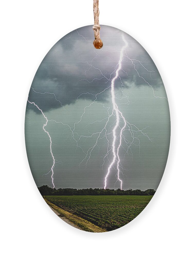 Lightning Ornament featuring the photograph Zeus Lane by Marcus Hustedde