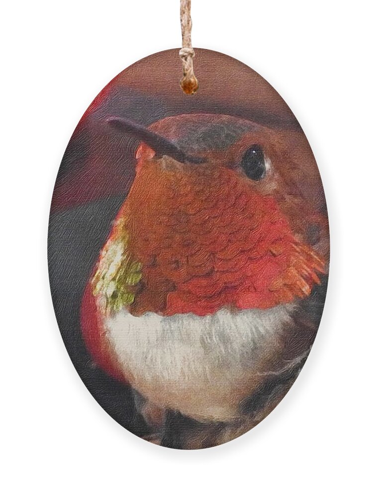 Hummingbird Ornament featuring the photograph Hope is the thing with feathers by Nicola Finch