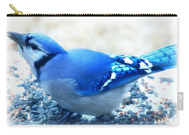 Landscape Zip Pouch featuring the photograph Bright Blue Jay by Peggy Franz