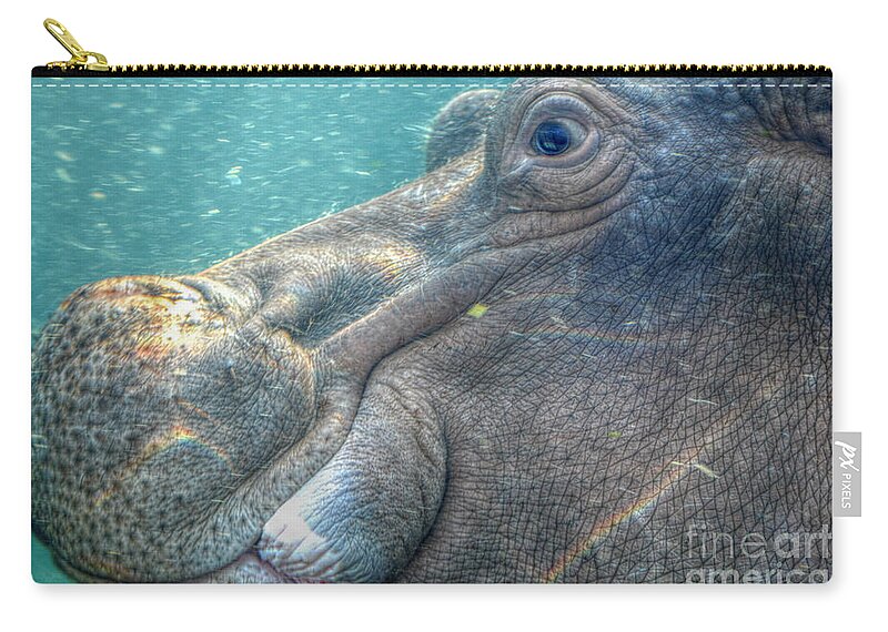 Landscape Zip Pouch featuring the photograph Hippopotamus Smiling Underwater by Peggy Franz