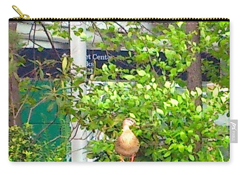 Bird Zip Pouch featuring the photograph Look At Me by Chris W Photography AKA Christian Wilson