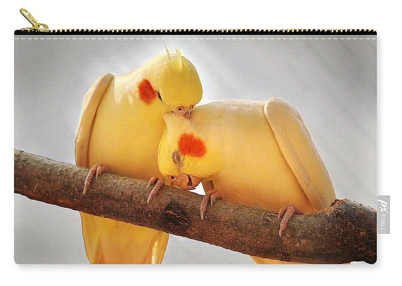 Cockatiel Zip Pouch featuring the photograph Love Birds by Abram House