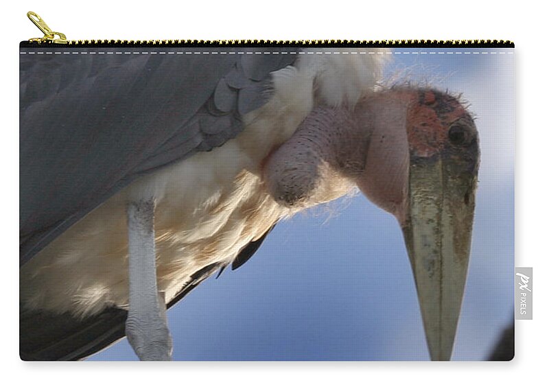Serengeti Zip Pouch featuring the photograph Maribou Stork by Joseph G Holland