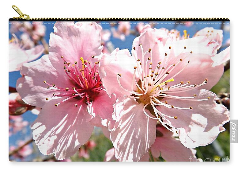 Peach Zip Pouch featuring the photograph Peach Blossom by Clare Bevan