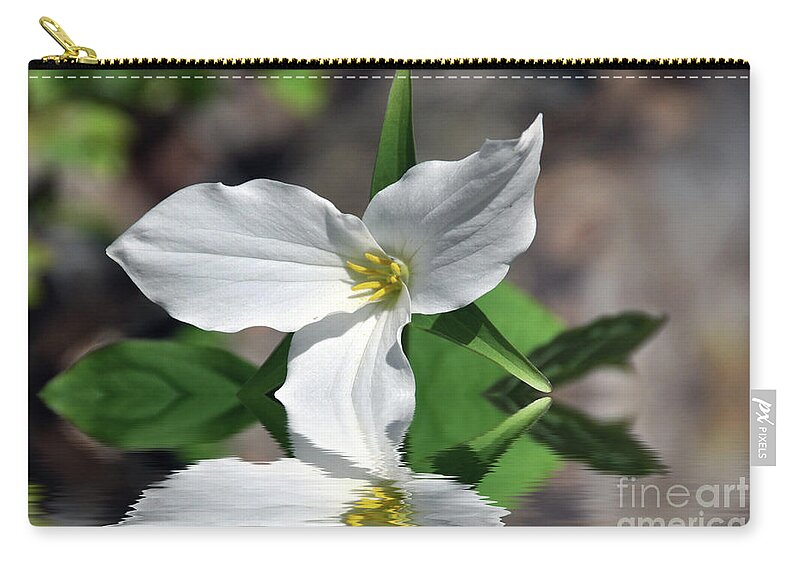 Flower Zip Pouch featuring the photograph Spring Trillium by Elaine Manley