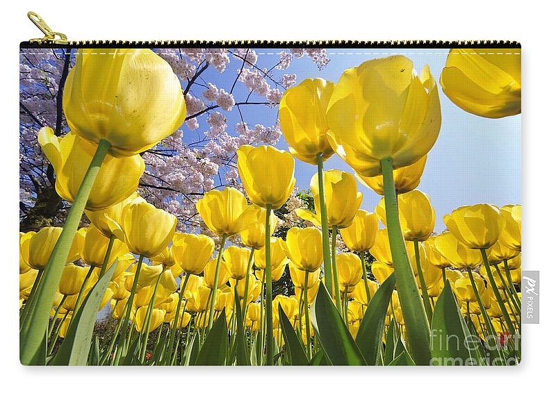 Colourful Zip Pouch featuring the photograph 090416p030 by Arterra Picture Library