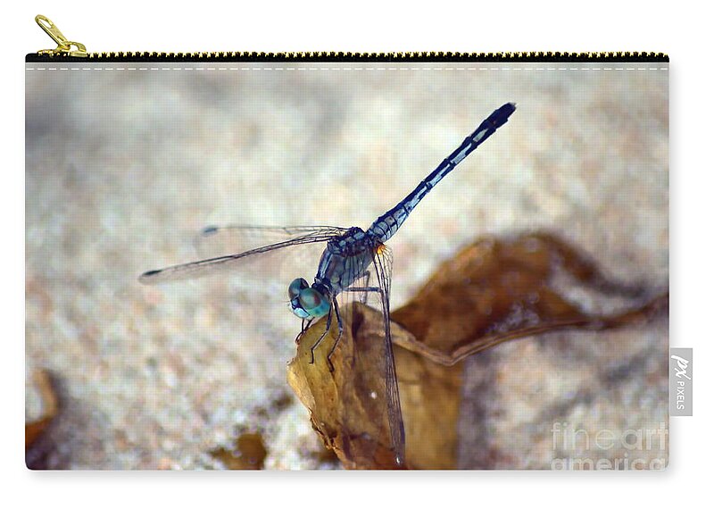Michelle Meenawong Zip Pouch featuring the photograph Blue Dragonfly #1 by Michelle Meenawong