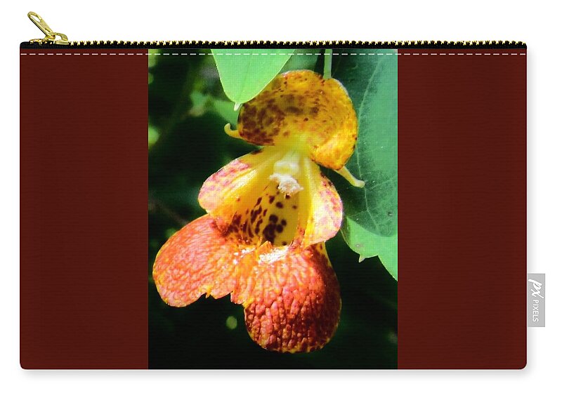  Spotted Jewelweed Zip Pouch featuring the photograph Spotted Jewelweed #1 by Eric Noa