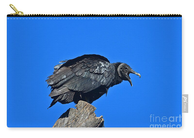  Zip Pouch featuring the photograph 23- Black Vulture #1 by Joseph Keane