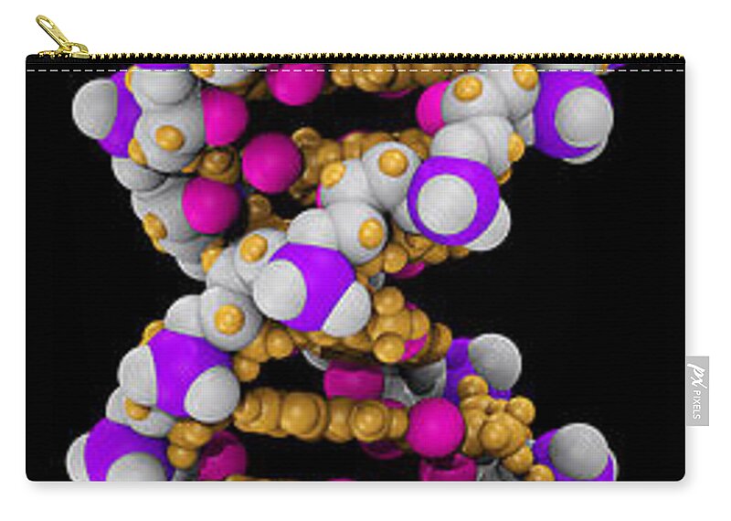 Adenine Zip Pouch featuring the photograph 3d Dna Molecule #1 by Scott Camazine