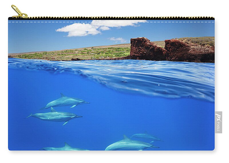 Delphinidae Zip Pouch featuring the photograph A Split View Of Spinner Dolphin #1 by Dave Fleetham