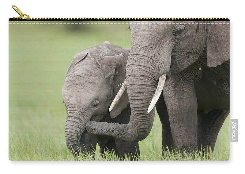 Feb0514 Zip Pouch featuring the photograph African Elephant Juvenile And Calf Kenya #2 by Tui De Roy