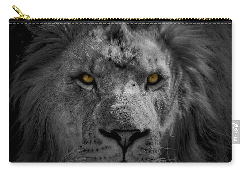 Africa Zip Pouch featuring the photograph African Lion #1 by Peter Lakomy