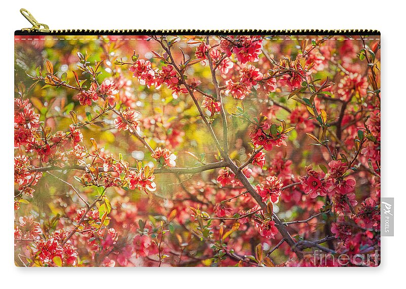 Flowers Zip Pouch featuring the photograph Afternoon Light by Roselynne Broussard
