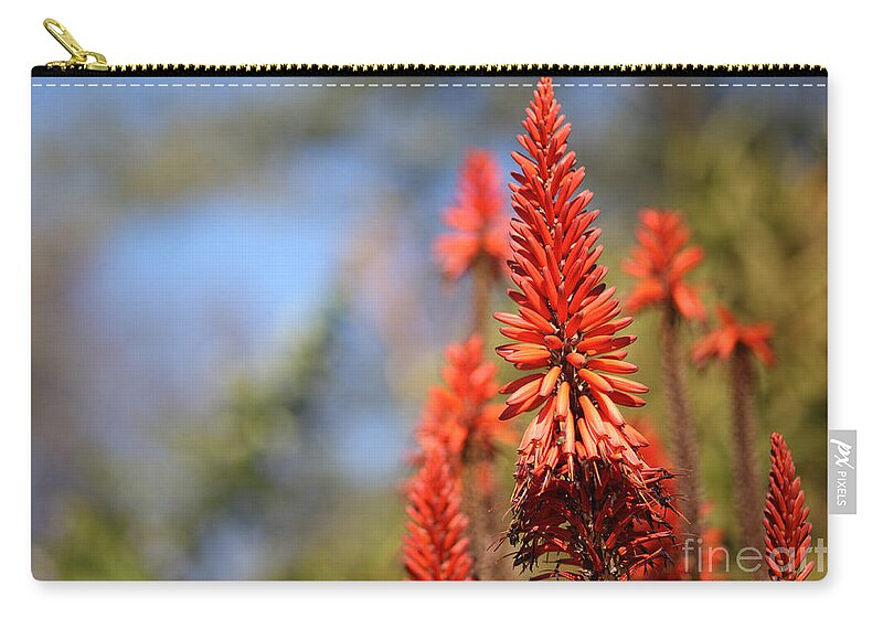  Flower Zip Pouch featuring the photograph Aloe succotrina #1 by Nicholas Burningham