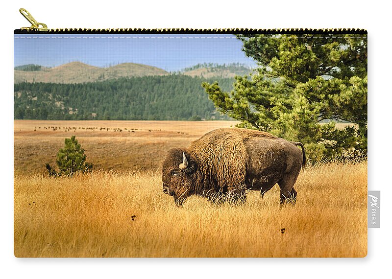 Dakota Zip Pouch featuring the photograph American Bison #2 by Greni Graph