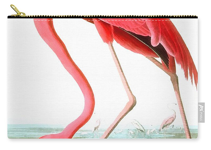 John James Audubon Zip Pouch featuring the painting American Flamingo #1 by John James Audubon