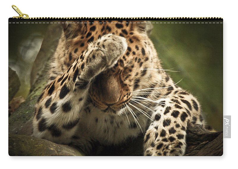 Animal Carry-all Pouch featuring the photograph Amur Leopard by Chris Boulton