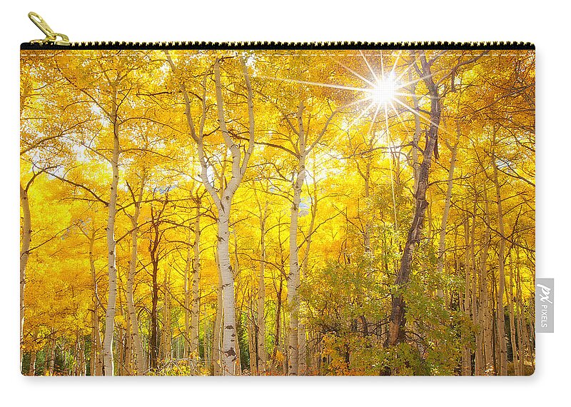 Aspens Zip Pouch featuring the photograph Aspen Morning #1 by Darren White