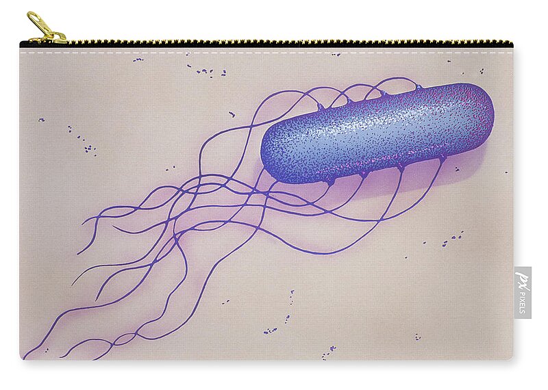 Aerobic Zip Pouch featuring the photograph Bacillus Sp #1 by Chris Bjornberg