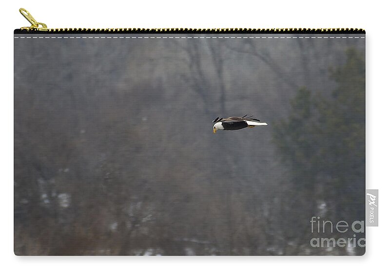 Birds Zip Pouch featuring the photograph Bald Eagle 2 by Steven Ralser