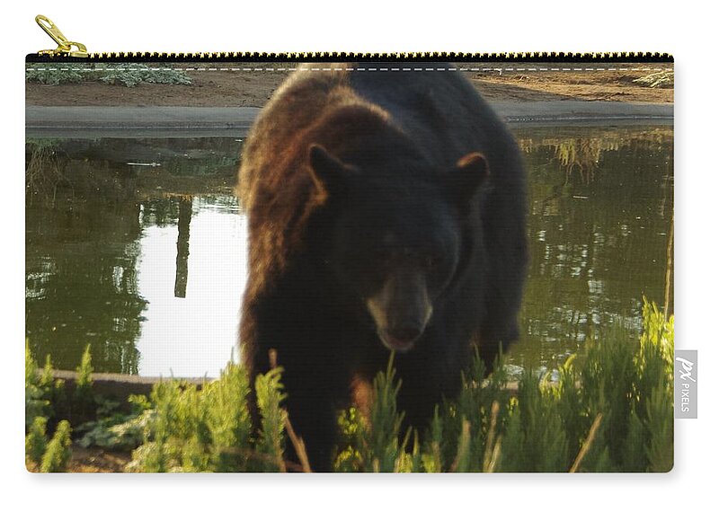 Lions Tigers And Bears Carry-all Pouch featuring the photograph Bear 1 by Phyllis Spoor