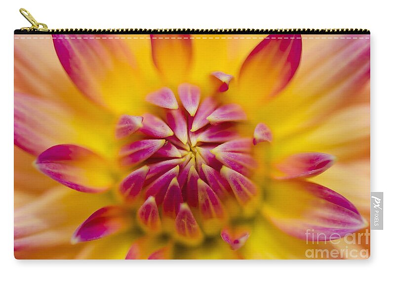 Spring Zip Pouch featuring the photograph Beautiful colourful flower macro. Spring beauty #1 by Jorgo Photography