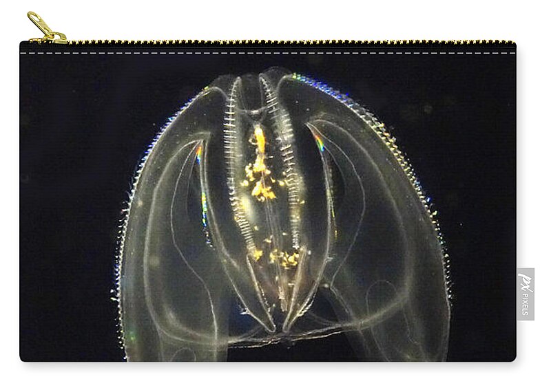 Hiroya Minakuchi Zip Pouch featuring the photograph Bioluminescent Comb Jelly Japan #1 by Hiroya Minakuchi