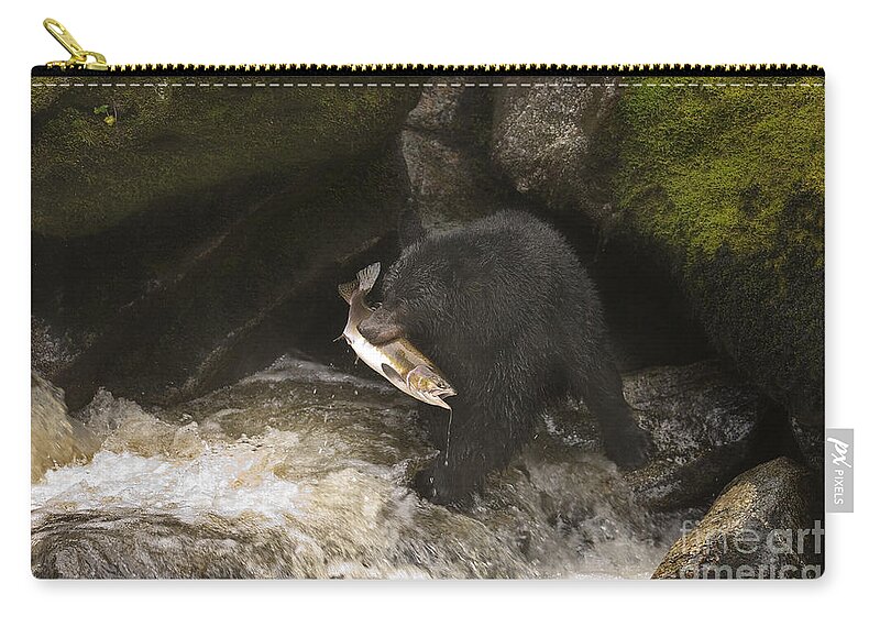 Animal Zip Pouch featuring the photograph Black Bear With Salmon #1 by Ron Sanford