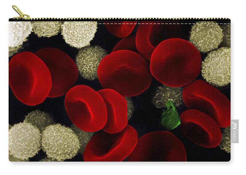 Leukocyte Carry-all Pouch featuring the photograph Blood Cells by Stem Jems