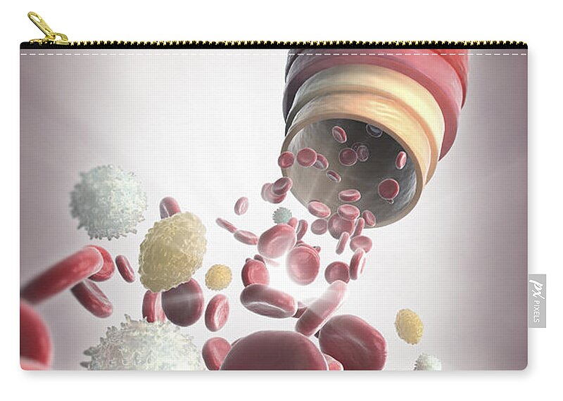 Blood Vessel Zip Pouch featuring the photograph Blood Vessel With Cells #8 by Science Picture Co