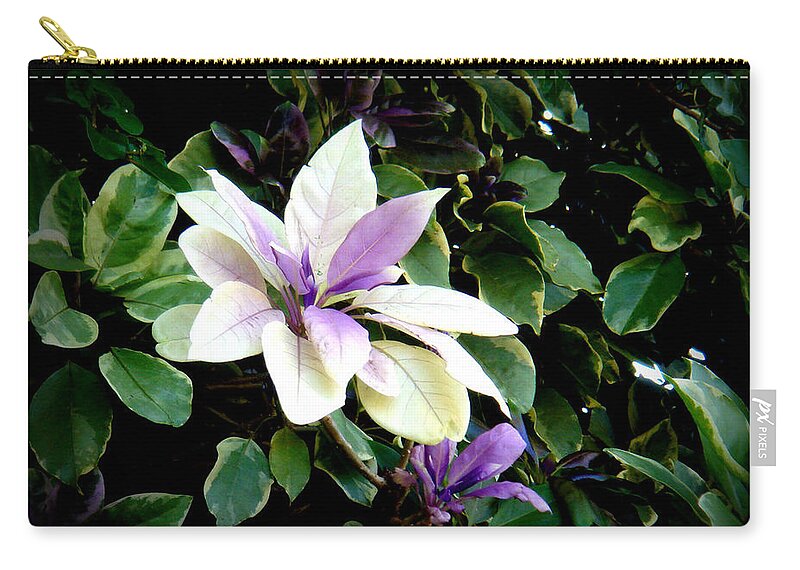 Purple Zip Pouch featuring the photograph Blossom at Sundy House #2 by Donna Walsh