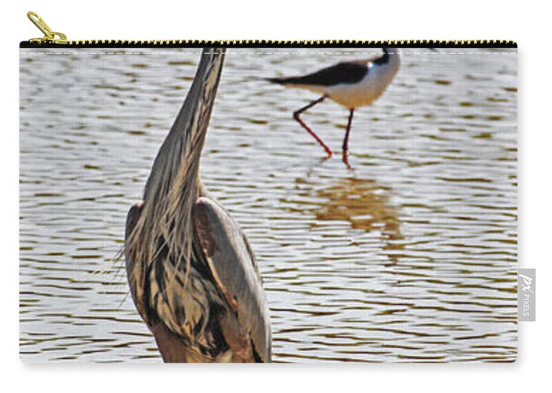 Blue Heron And Stilt Zip Pouch featuring the photograph Blue Heron And Stilt #1 by Tom Janca
