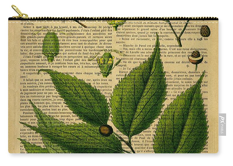 Botanical Zip Pouch featuring the digital art Botanical Print on old book page #1 by Lilia S