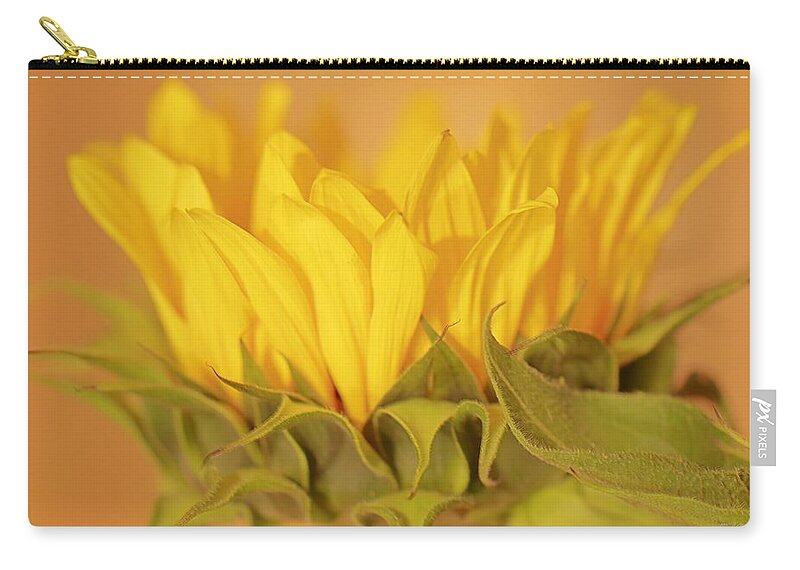 Sunflower Zip Pouch featuring the photograph Bright and Sunny #2 by Deborah Crew-Johnson