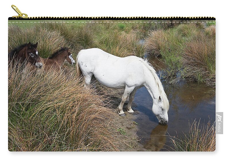 Horse Zip Pouch featuring the photograph Camargue Horses #1 by Franz Aberham