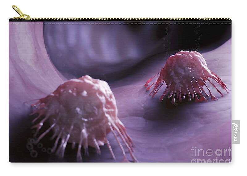 Cancer Cells Zip Pouch featuring the photograph Cancer Cells #2 by Science Picture Co