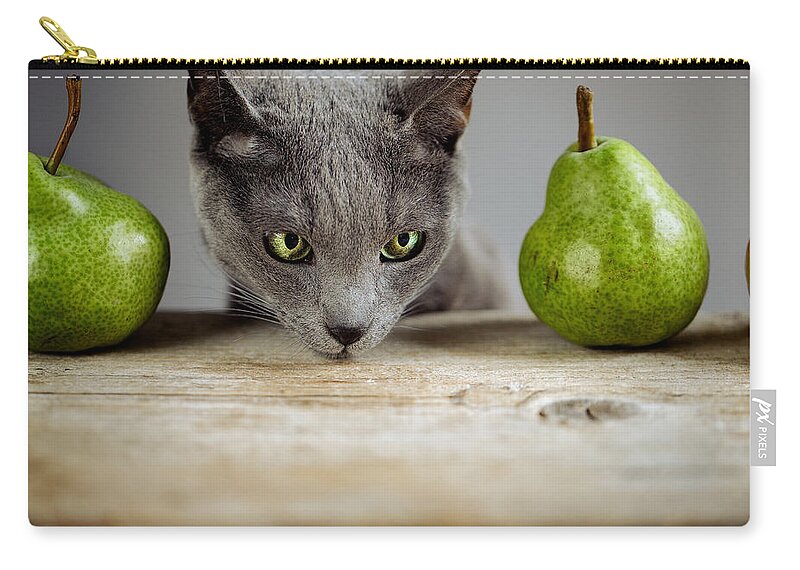 Cat Zip Pouch featuring the photograph Cat and Pears #1 by Nailia Schwarz