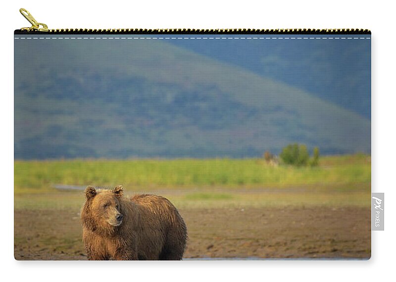 Brown Bear Zip Pouch featuring the photograph Coastal Brown Bear #1 by Chase Dekker Wild-life Images